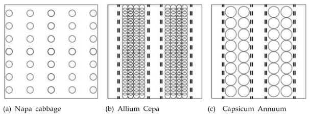 Schematic diagram of planting interval for agricultural plants: (a)napa cabbage, (b)allium cepa, (c)capsicum annuum