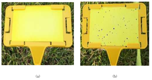 water sensitive paper: (a)Non-droplet, (b)with droplet