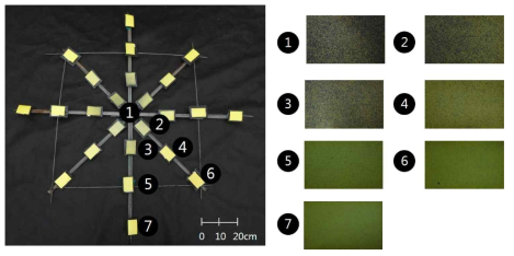 Investigation of falling fungicide area