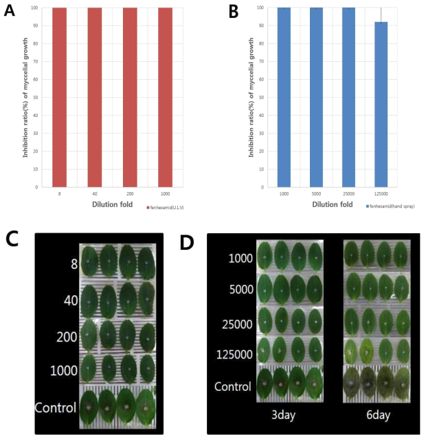 Control effect of fenhexamid on the gray mold caused by Botrytis cinerea on cotyledon of cucumber inoculated with mycelial disc. A; Control value of fenhexamid treated with ULV against sensitive isolates T5-2, B; Control value of fenhexamid treated with hand spray against sensitive isolates T5-2, C; Photograph of the activity of fenhexamid treated with ULV on cotyledon against sensitive isolate B. cinerea T5-2, D; Photograph of the activity of fenhexamid treated with hand spray on cotyledon against sensitive isolate B. cinerea T5-2