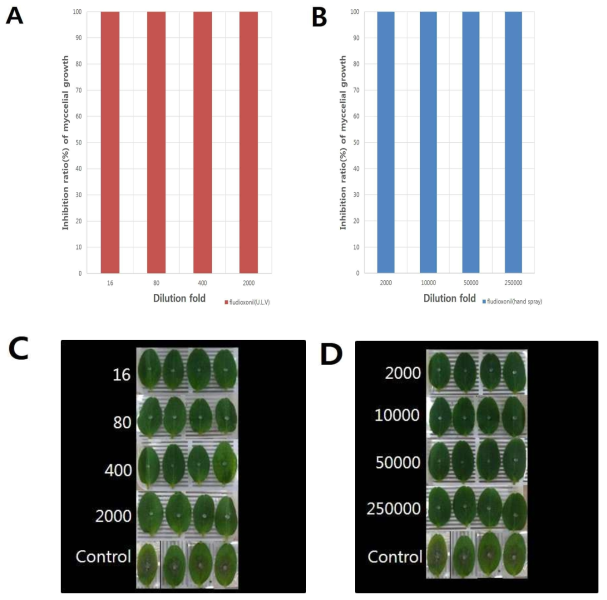 Control effect of fludioxonil on the gray mold caused by Botrytis cinerea on cotyledon of cucumber inoculated with mycelial disc. A; Control value of fludioxonil treated with ULV against sensitive isolates T5-2, B; Control value of fludioxonil treated with hand spray against sensitive isolates T5-2, C; Photograph of the activity of fludioxonil treated with ULV on cotyledon against sensitive isolate B. cinerea T5-2, D; Photograph of the activity of fludioxonil treated with hand spray on cotyledon against sensitive isolate B. cinerea T5-2