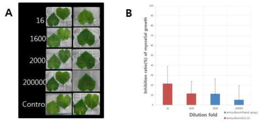 Control effect of amisulbrom on the gray mold caused by Botrytis cinerea on the first leaf of cucumber inoculated with mycelial disc. A; Photograph of the activity of amisulbrom treated with ULV and hand spray on the first leaf against resistant isolate B. cinerea CN20, B; Control value of amisulbrom treated with ULV and hand spray against resistant isolates CN20