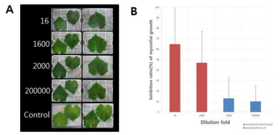 Control effect of azoxystrobin on the gray mold caused by Botrytis cinerea on the first leaf of cucumber inoculated with mycelial disc. A; Photograph of the activity of azoxystrobin treated with ULV and hand spray on the first leaf against resistant isolate B. cinerea CN20, B; Control value of azoxystrobin treated with ULV and hand spray against resistant isolates CN20