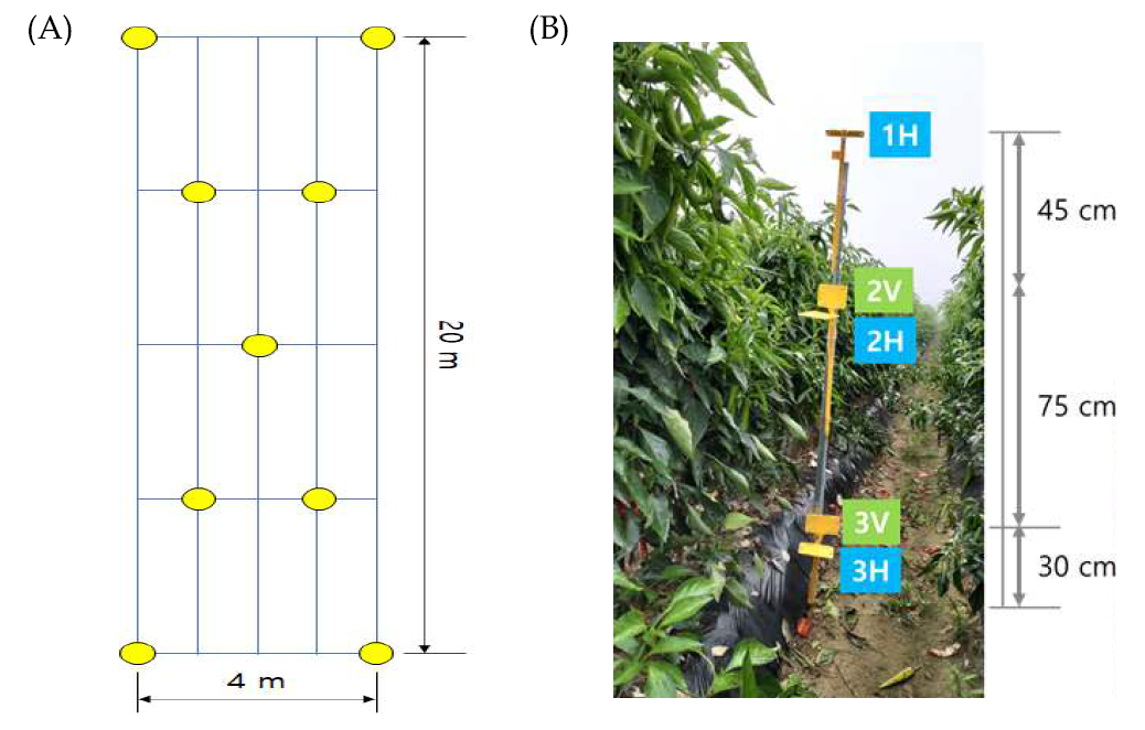 Water sensitive paper’s layout for pepper, radish (A). Position of the water sensitive paper attached to the pole (B)