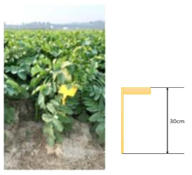 Position of the water sensitive paper