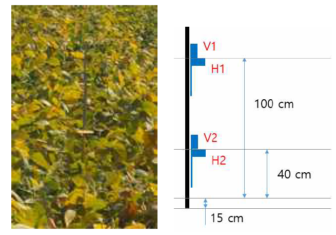 The pole with water sensitive papers installed in the soybean field. The water sensitive papers were installed in two places of a pole according to the plant length of beans, and they were installed horizontally and vertically at each installation location