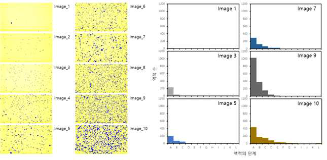 Distribution according to the size of droplets appearing on the water sensitive paper. In the experiment, a total of 10 types of coverage were analyzed using different water sensitive papers