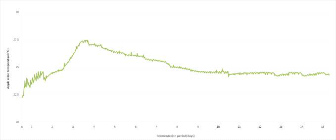사과주 발효 기간별 품온 변화