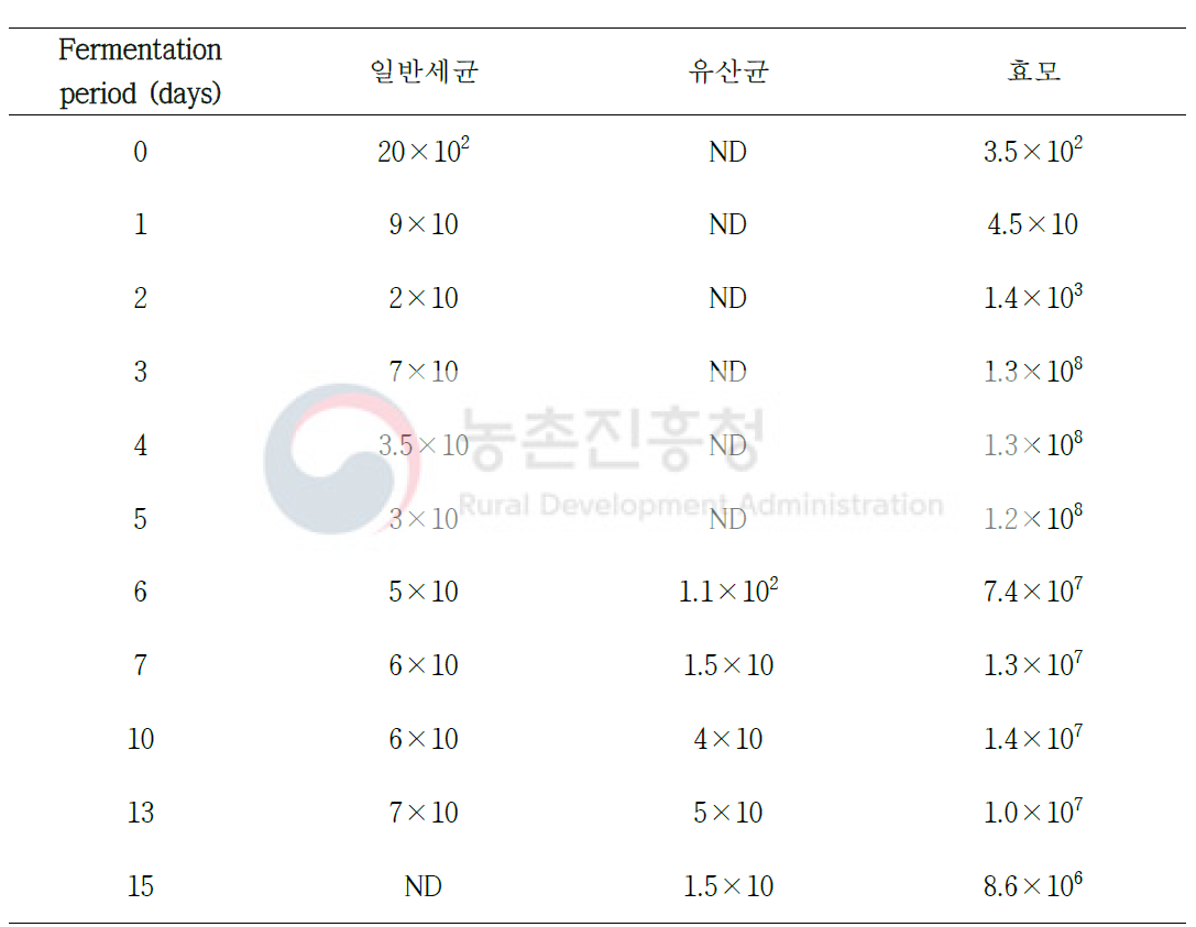 사과주 발효 기간별 미생물 수 변화