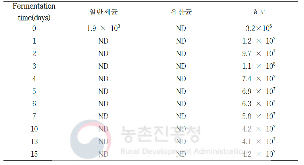 복분자주 발효 기간별 미생물 수 변화