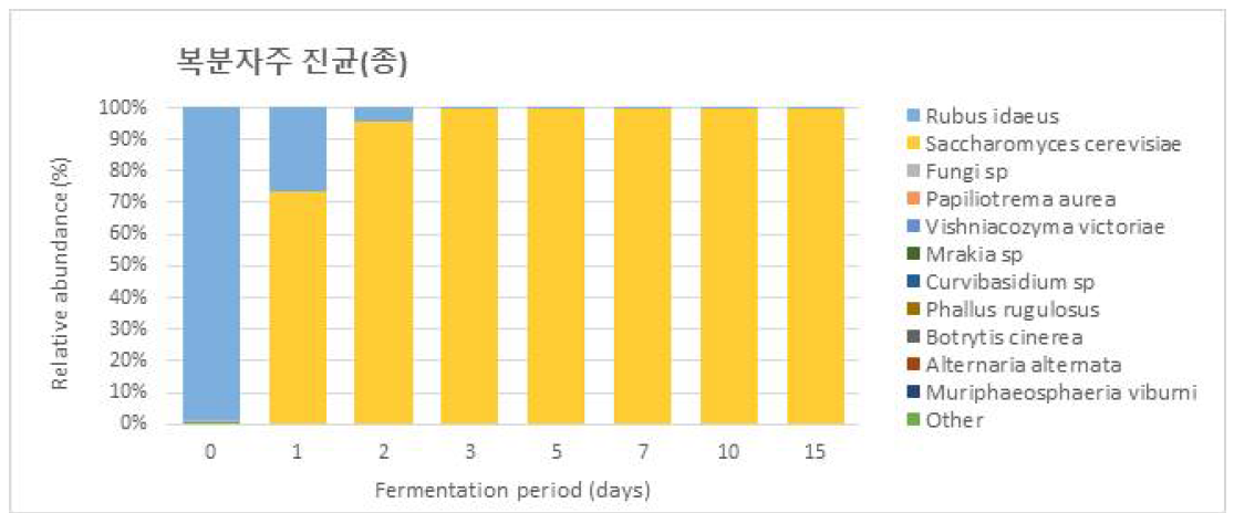 복분자주 발효중 진균 미생물 수 변화