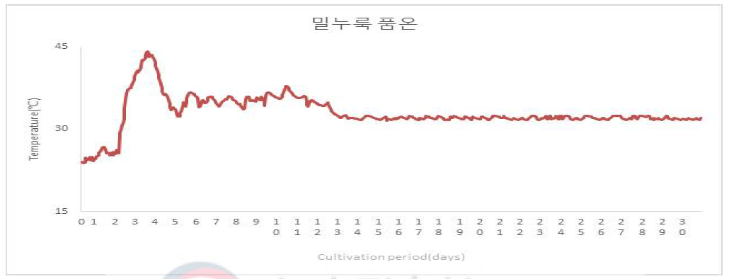 밀누룩 배양 중 품온 변화