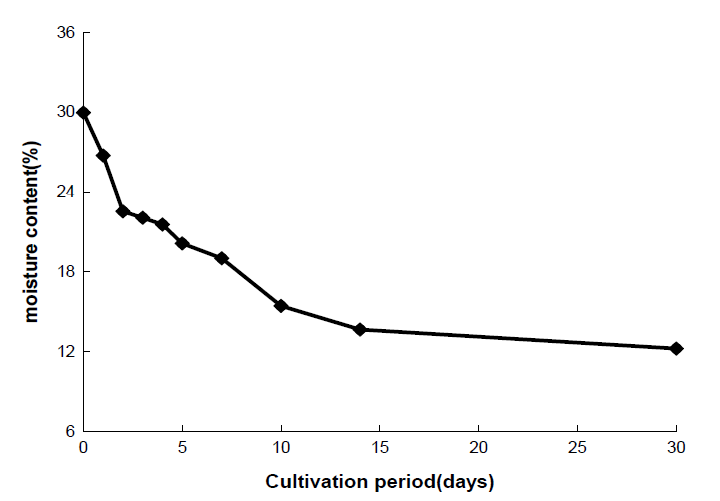 밀누룩 배양 중 수분함량 변화