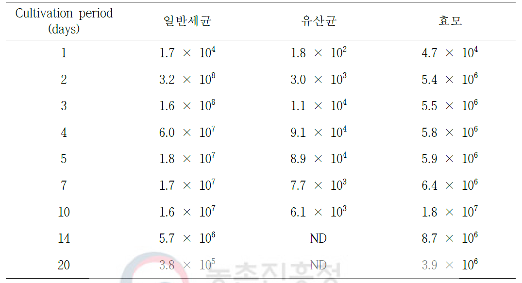 밀누룩 배양 중 미생물수 변화