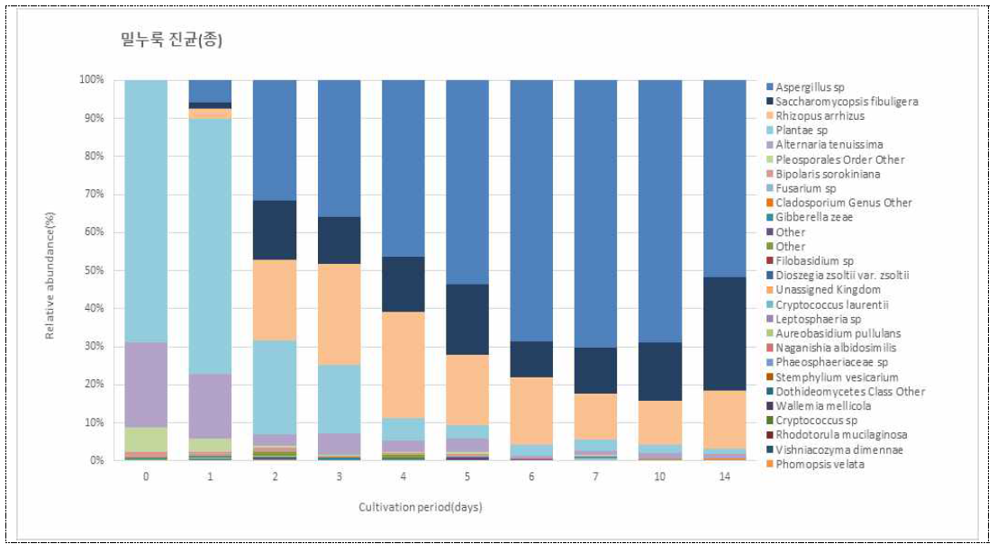 밀누룩 일차별 진균류 군집(Species)