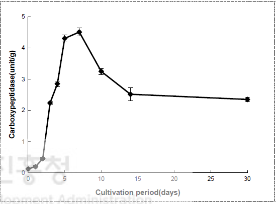 밀누룩 배양 중 carboxypeptidase 변화