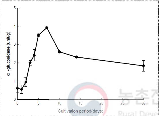 밀누룩 배양 중 α-glucosidase 변화