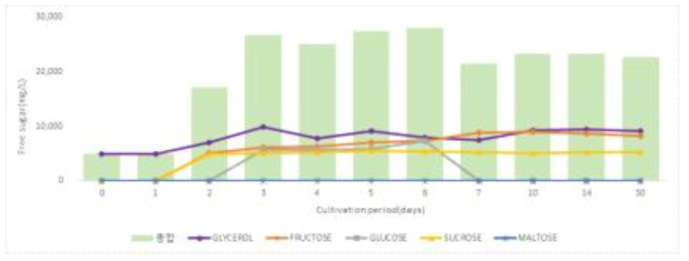 밀누룩 배양 경과에 따른 유리당 변화