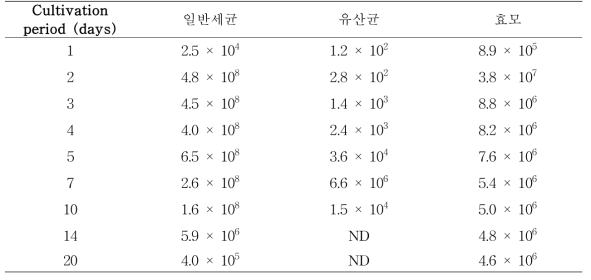 향온국 배양 중 미생물수 변화