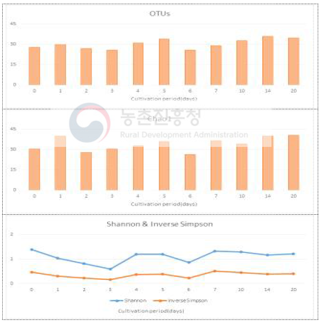 향온국 일차별 진균류 다양성지수