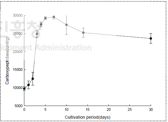 향온국 배양 중 carboxypeptidase 변화