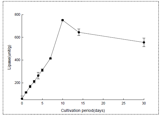 향온국 배양 중 lipase 변화