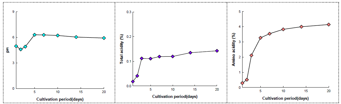 이화국 배양 중 pH, 총산, 아미노산도 변화