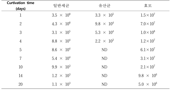 이화국 배양 중 미생물수 변화