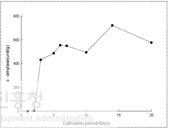 이화국(내부) 배양 중 α-amylase 변화