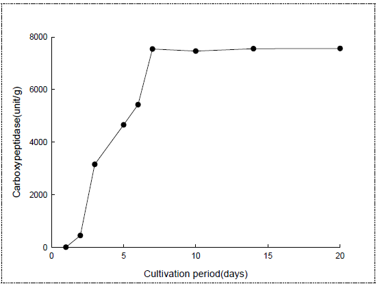 이화국(내부) 배양중carboxypeptidase 변화