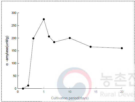 이화국(외부) 배양 중 α-amylase 변화