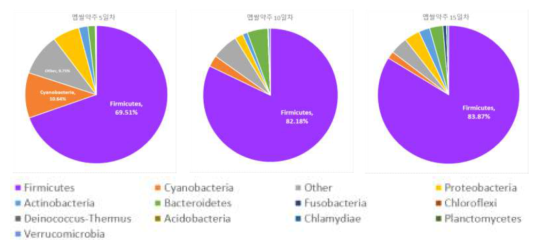 멥쌀약주 발효중 세균 군집(Phylum) 변화(5, 10, 15일차)