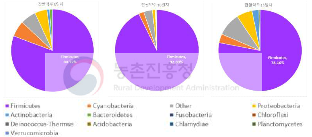 찹쌀약주 발효중 세균 군집(Phylum) 변화(5, 10, 15일차)