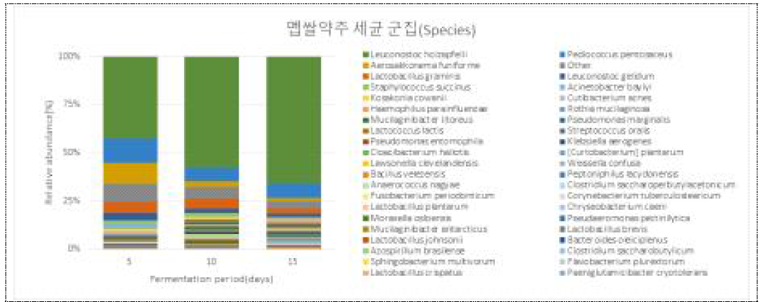 멥쌀약주 발효중 세균류 군집(Species)