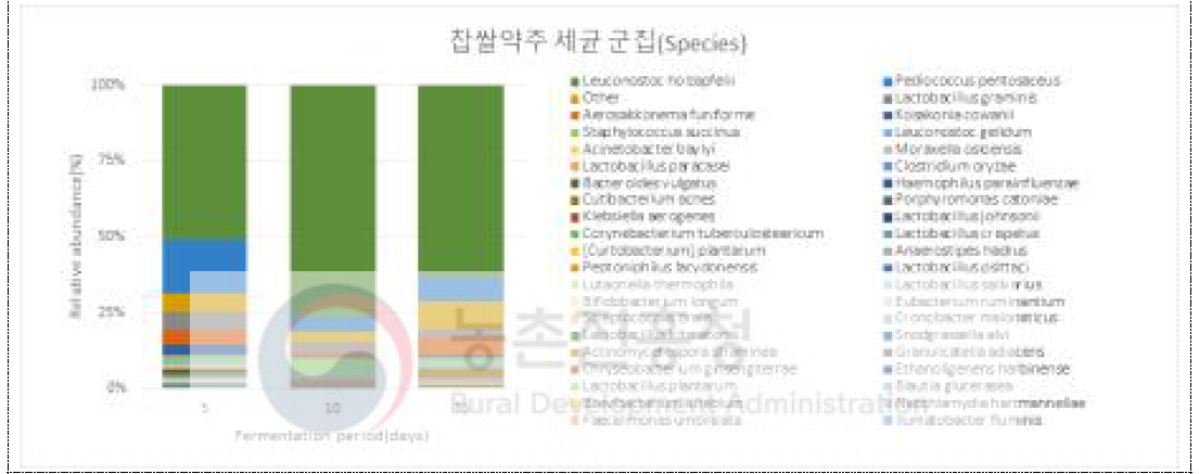 찹쌀약주 발효중 세균류 군집(Species)