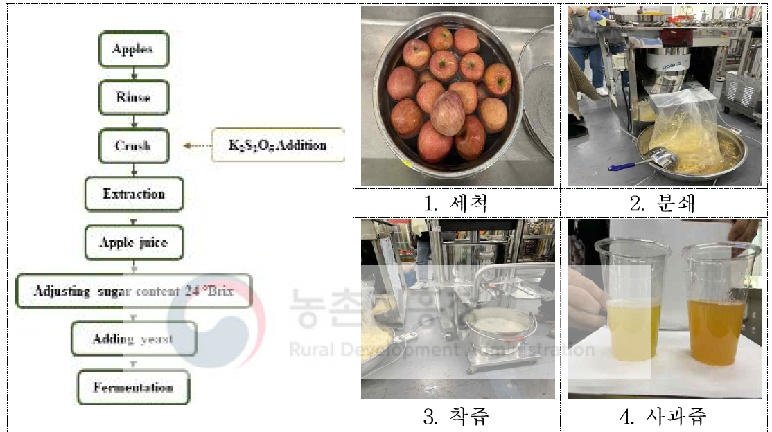 사과주 제조과정