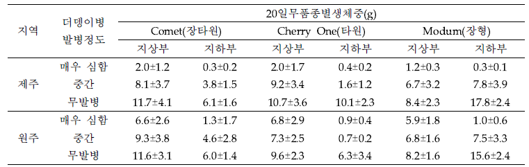 감자 더뎅이병 이병토양에 따른 20일 무의 생육에 미치는 영향(3차 검정)