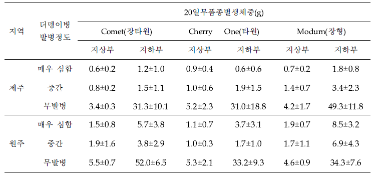 감자 더뎅이병 이병토양에 따른 20일 무의 생육에 미치는 영향(3차 검정)