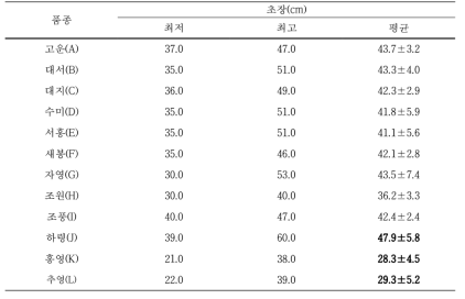 강원도 원주지역 유기농 감자포장에서 감자 품종별 생육 비교