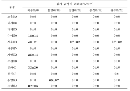 유기농 봄감자 재배지역에서 감자 품종별 굼벵이 피해정도