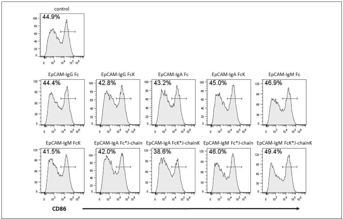 다양한 EpCAM-Fc 및 4차 거대구조의 융합 백신 단백질(EpCAM-Fc * J-chain)의 in vivo 에서의 효능 검정을 위한 FACS 분석 수행 (CD86 marker)