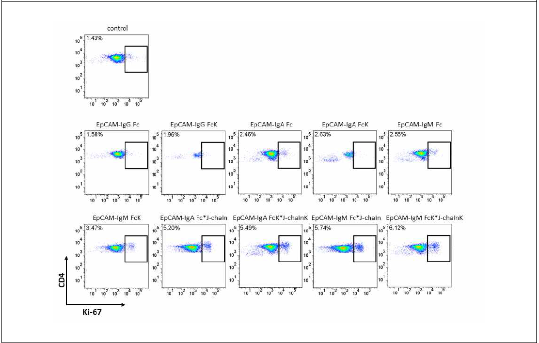 다양한 EpCAM-Fc 및 4차 거대구조의 융합 백신 단백질(EpCAM-Fc * J-chain)의 in vivo 에서의 효능 검정을 위한 FACS 분석 수행 (CD4+, Ki-67 marker)