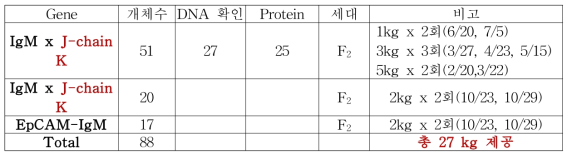 융합백신단백질 정제용 배추 형질전환체 대량재배 및 잎 시료 제공