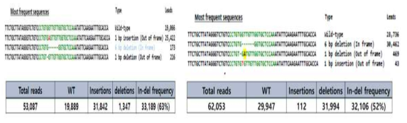 Cas9-FT 1-2 target gene editing sample FT4(좌) 및 FT10(우)