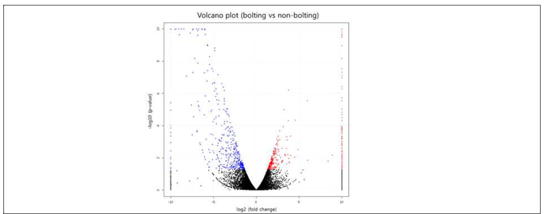 추대 당귀 화기조직과 비추대 당귀 정단조직의 differentially expressed genes Volcano plot