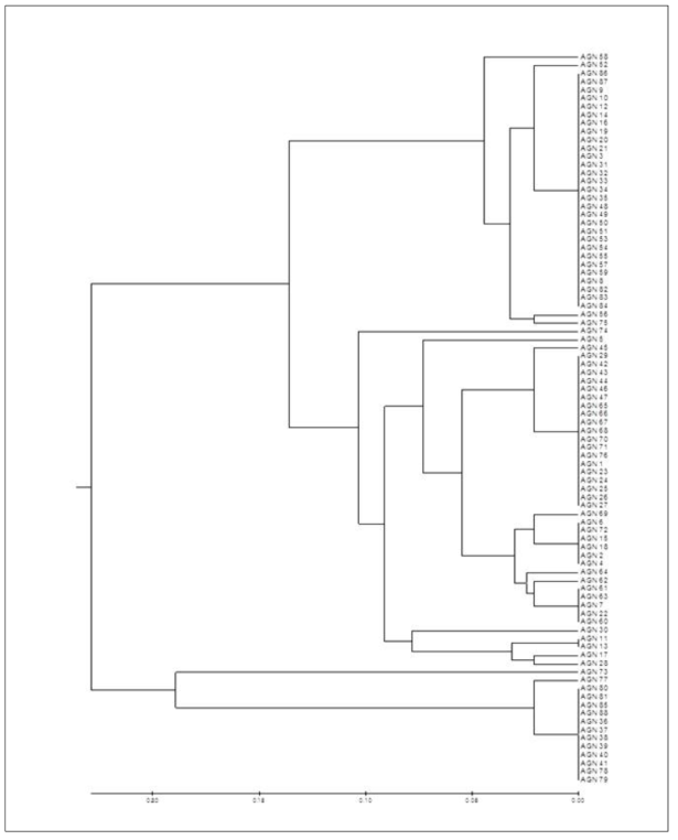 24개 종내 다형성 엽록체 기반 InDel 마커를 이용한 88개 당귀 유전자원의 UPGMA tree