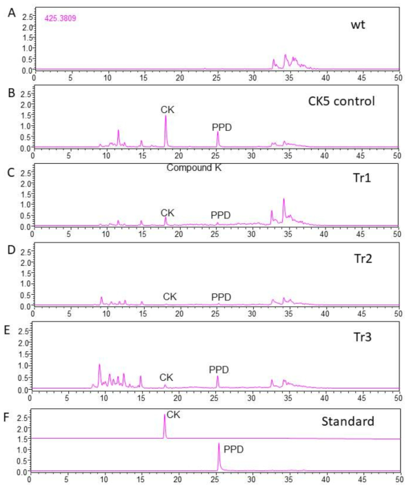 Single ion mode (SIM) chromatogram of LC-IT-TOF-MS analysis in the roots of wild-type (Wt), CK5 tobacco as control, and three transgenic CK5 tobacco lines (Tr1, Tr2, and Tr3) overexpressing PgSE1. A. SIM chromatogram in wild-type roots. B. SIM chromatogram in CK5 tobacco as control. C-E. SIM chromatograms in the three transgenic lines overexpressing PgSE1 (Tr1, Tr2, and Tr3). F. SIM chromatograms of authentic CK and protopanaxadiol