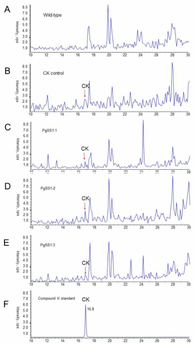 LC chromatogram of LC-MS-MS analysis in the leaves of wild-type, CK5 control tobacco (CK control) and new transgenic tobacc line additionally overespressing PgSS1 gene (PgSS1-1, PgSS1-2, and PgSS1-3). A. LC chromatogram in wild-type tobacco leaves. B. LC chromatogram in CK5 tobacco as control. C-E. LC chromatograms in the three transgenic CK tobacco lines additinally overexpressing PgSS1 (PgSS1-1, PgSS1-2, and PgSS1-3). F. LC chromatograms of authentic CK standard
