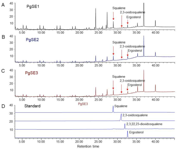 GC analysis of PgSE3 gene including PgSE1 and PgSE2 genes by heterologous expression in erg1-deficient yeast, which does not grow without ergosterol feeding. GC analysis of recombinant yeast extracts. A. GC-MS chromatogram of the methanol extract of erg1 yeast expressing PgSE1. B. GC-MS chromatogram of the methanol extract of erg1 yeast expressing PgSE2. C. GC-MS chromatogram of the methanol extract of erg1 yeast expressing PgSE3. E. GC-MS chromatogram of standard compounds (squalene, 2,3-oxidosqualene, 2,3;22,23-dioxidosqualene, and ergosterol)