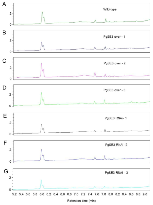 Ginsenoside analysis in the roots of the wild-type line and six transgenic lines overexpressing and RNAI interferring of PgSE3 by HPLC. A. LC chromatograms of ginsenosides extracted from wild-type roots. B-D. Ginsenoside chromatograms in the three transgenic lines (Tr1, Tr2, and Tr3) overexpressing PgSE3. E-G. Ginsenoside chromatograms in the three transgenic lines (Tr1, Tr2, and Tr3) RNAi interferring PgSE3.. H. Chromatograms of authentic standard ginsenosides